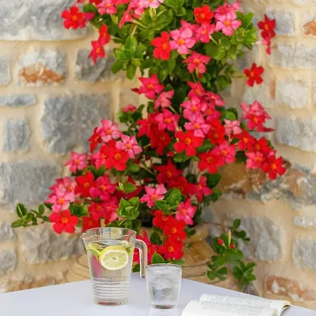 Salvia Areopolis Hotel