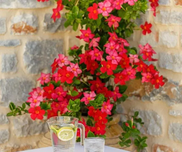 Salvia Hotell
